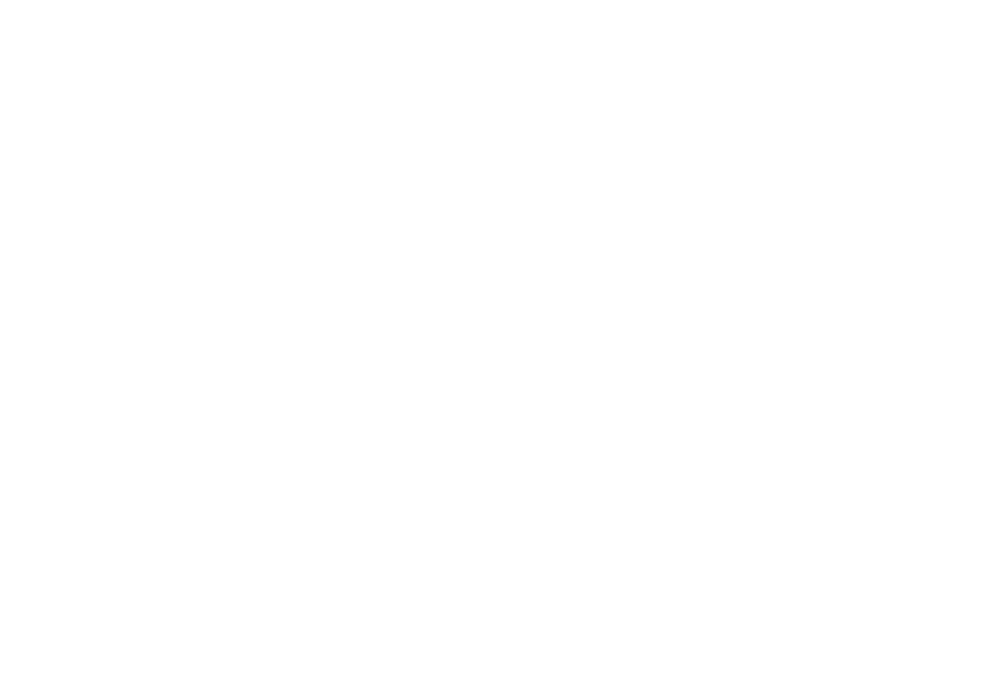 SANIBOV 2026